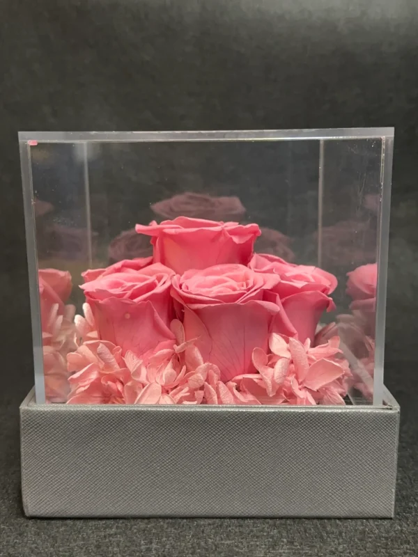 A box of pink roses in a clear case.