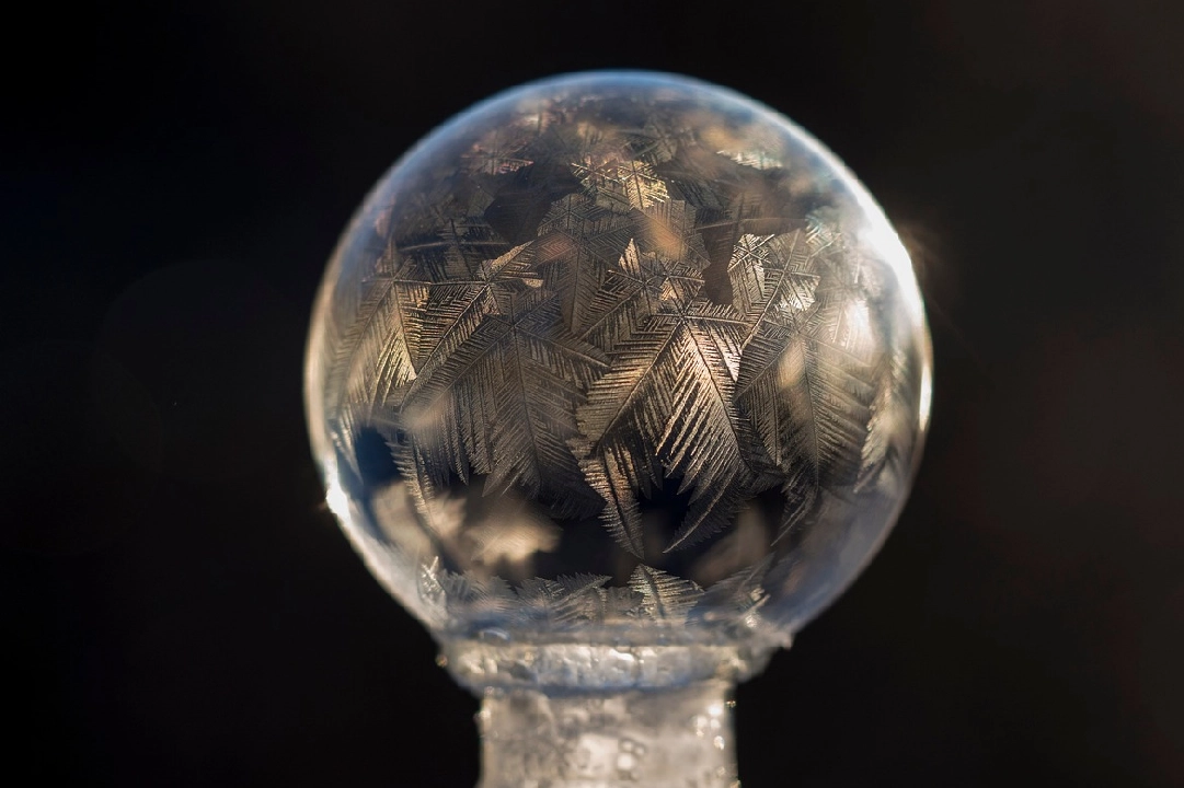 A glass ball with many birds inside of it